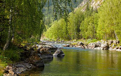 Река Кумир