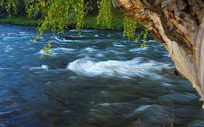 Река Ануй